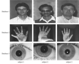 Image showing three different databases where each one contains a particular modality from all subjects.